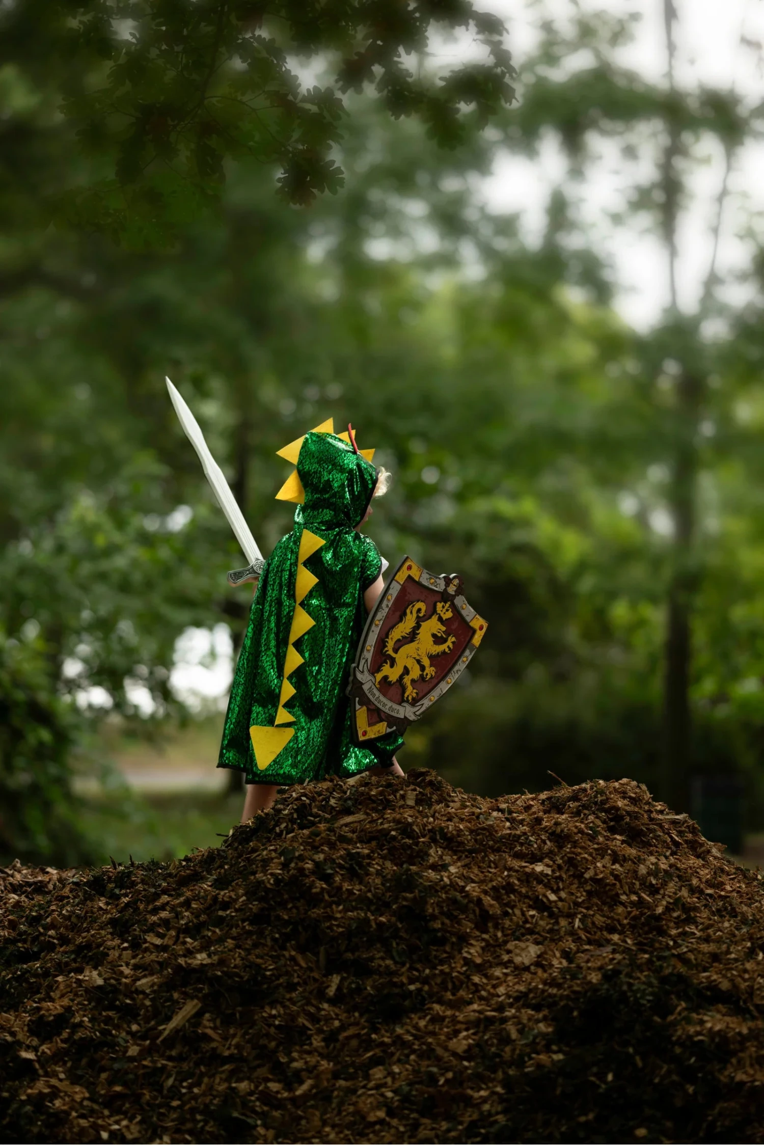 Knights Honour EVA Sword | Great Pretenders(Knights honour eva sword great pretenders) Knights Honour EVA Sword | Great Pretenders(Knights Honour Eva Sword Great Pretenders) -Curious Bear Toys 2 3000x 48c19beb 33f0 4a7a adc8 bc9ae8276218 1