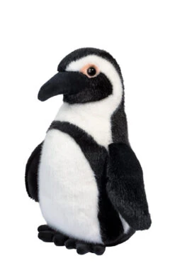Zuri African Penguin | Douglas(Zuri African Penguin Douglas)