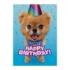 MindWare Teddy Bear Pomeranian Foil Birthday Card(Teddy Bear Pomeranian Foil Card) -Curious Bear Toys 6015FC
