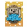 MindWare Foil: Hedgehog Card(Foil Hedgehog Card) -Curious Bear Toys 6017FC