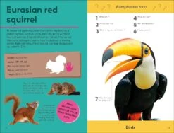 Penguin Random House Quiz Yourself Clever! Animals Of The World(Quiz Yourself Clever Animals Of The World) 7 Penguin Random House Quiz Yourself Clever! Animals Of The World(Quiz Yourself Clever Animals Of The World) -Curious Bear Toys 71OuSk92z L. SL1500