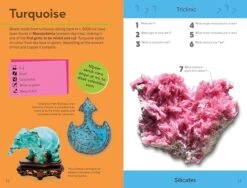 Penguin Random House Quiz Yourself Clever! Rocks And Minerals(Quiz Yourself Clever Rocks And Minerals) 7 Penguin Random House Quiz Yourself Clever! Rocks And Minerals(Quiz Yourself Clever Rocks And Minerals) -Curious Bear Toys 81HeFSXGIJL. SX679