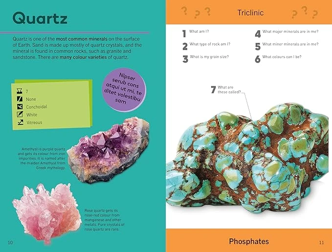 Quiz Yourself Clever! Rocks and Minerals(Quiz yourself clever rocks and minerals) Penguin Random House Quiz Yourself Clever! Rocks And Minerals(Quiz Yourself Clever Rocks And Minerals) -Curious Bear Toys 81VUhh5Y8uL. SX679