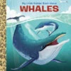 Penguin Random House My Little Golden Book About Whales(My Little Golden Book About Whales) 2 Penguin Random House My Little Golden Book About Whales(My Little Golden Book About Whales) -Curious Bear Toys 9780593569849