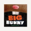 Chronicle Books Big Bunny(Big Bunny)