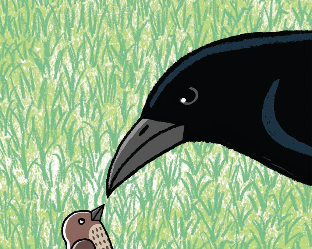 Froodle(Froodle) Froodle(Froodle) -Curious Bear Toys 9781596439221.IN02