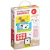Let's Write And Wipe Animals | Banana Panda(Lets Write And Wipe Animals Banana Panda) 2 Let's Write And Wipe Animals | Banana Panda(Lets Write And Wipe Animals Banana Panda) -Curious Bear Toys 9788365773678 BOX 1 768x768 1