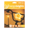 Badge Brightz | Brightz(Badge Brightz) -Curious Bear Toys BadgeStarStraightOn
