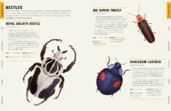 Encyclopedia Of Animals(Encyclopedia Of Animals) 3 Encyclopedia Of Animals(Encyclopedia Of Animals) -Curious Bear Toys O