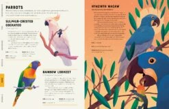 Encyclopedia Of Animals(Encyclopedia Of Animals) 5 Encyclopedia Of Animals(Encyclopedia Of Animals) -Curious Bear Toys O 2