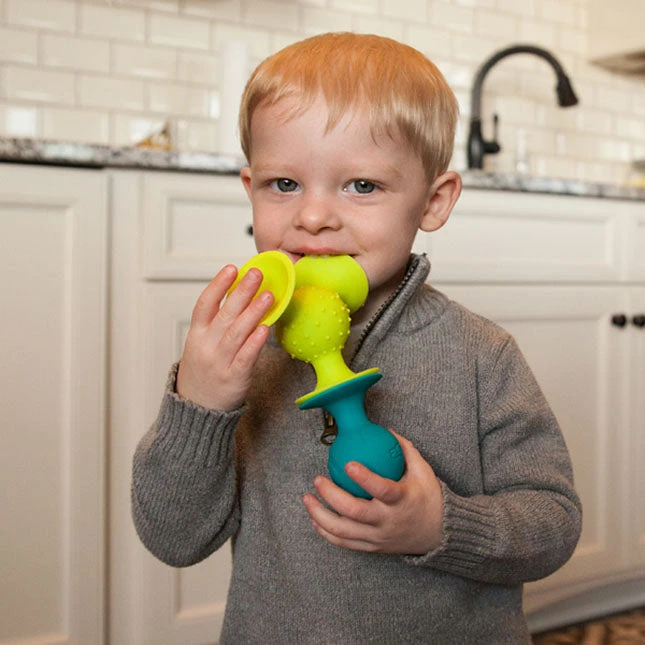 pipSquigz | Fat Brain Toys(Pipsquigz) PipSquigz | Fat Brain Toys(Pipsquigz) -Curious Bear Toys Pip Squigz3