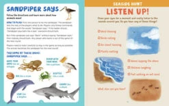 Backpack Explorer: Beach Walk(Backpack Explorer Beach Walk) -Curious Bear Toys beach walk2