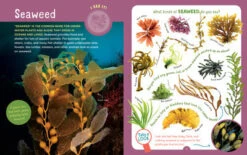 Backpack Explorer: Beach Walk(Backpack Explorer Beach Walk) -Curious Bear Toys beach walk3