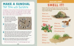 Backpack Explorer: Beach Walk(Backpack Explorer Beach Walk) -Curious Bear Toys beach walk4