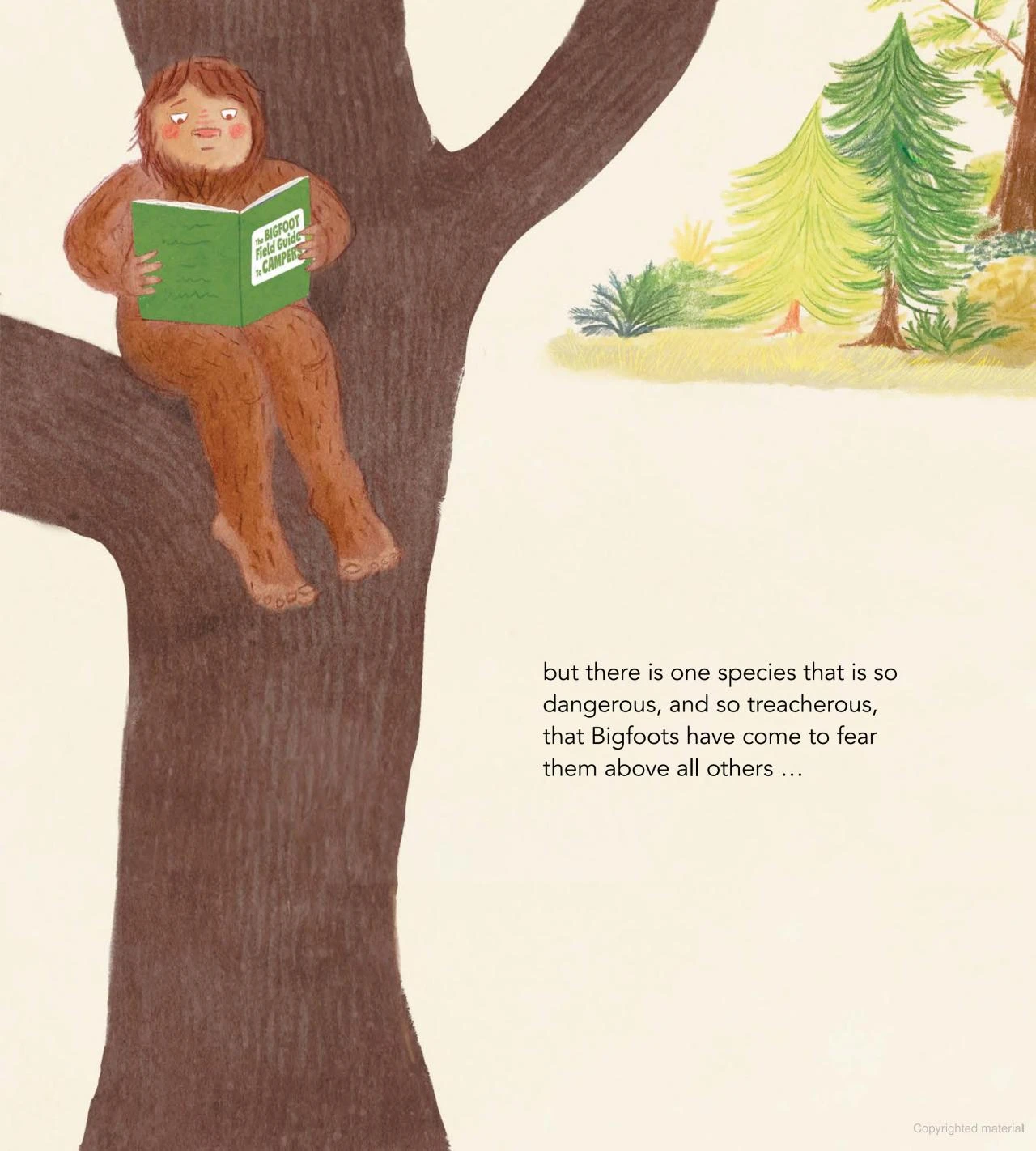 The Bigfoot Field Guide to Campers (And Other Mysterious Creatures)(The bigfoot field guide to campers and other mysterious creatures) The Bigfoot Field Guide To Campers (And Other Mysterious Creatures)(The Bigfoot Field Guide To Campers And Other Mysterious Creatures) -Curious Bear Toys content 1