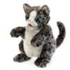 Kitten, Wildcat | Folkmanis(Kitten Wildcat Folkmanis)