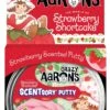 Scentsory Tin - Strawberry Shortcake 4" | Crazy Aarons(Scentsory Tin Strawberry Shortcake 4 Crazy Aarons) -Curious Bear Toys null img 9fee1907 9854 4e7b 9032 825082d56afd