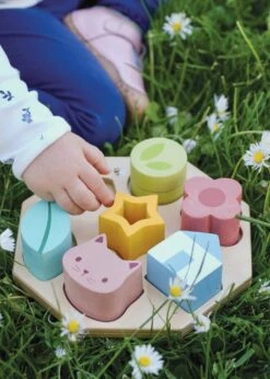 Sensory Activity Tray | Mentari Toys(Sensory Activity Tray Mentari Toys) 12 Sensory Activity Tray | Mentari Toys(Sensory Activity Tray Mentari Toys) -Curious Bear Toys sensory activity tray mt7118 295034