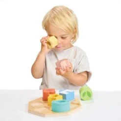 Sensory Activity Tray | Mentari Toys(Sensory Activity Tray Mentari Toys) 5 Sensory Activity Tray | Mentari Toys(Sensory Activity Tray Mentari Toys) -Curious Bear Toys sensory activity tray mt7118 980578