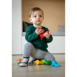 SmartMax My First Dinosaurs(Smartmax My First Dinosaurs) 13 SmartMax My First Dinosaurs(Smartmax My First Dinosaurs) -Curious Bear Toys smx 223 my first dinosaurs kid 5 1